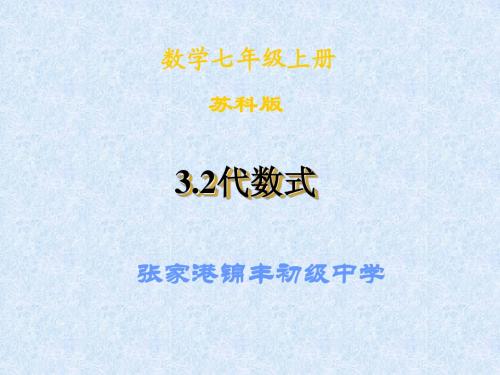 3.2代数式