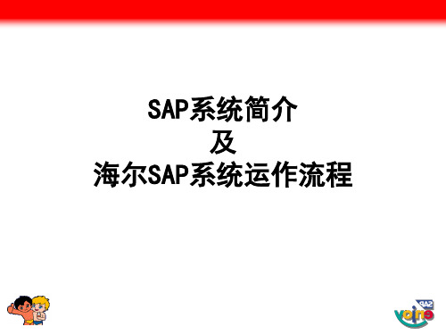 SAP海尔解决方案及流程演示