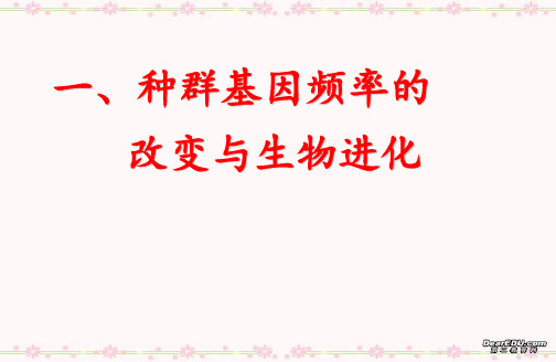 生物现代生物进化理论的主要内容PPT课件