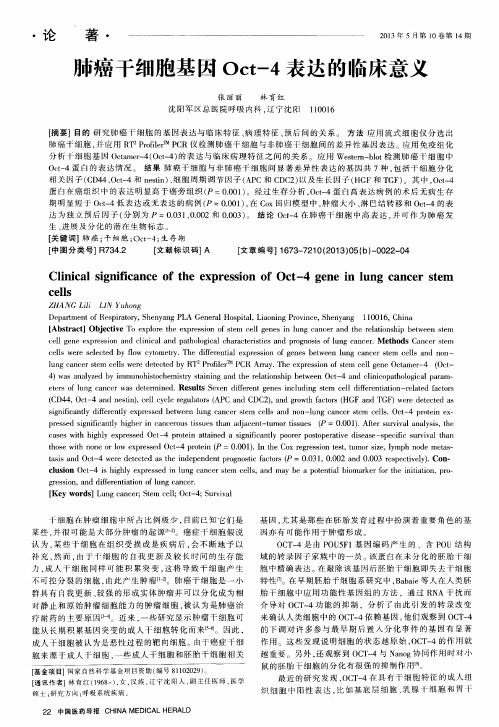 肺癌干细胞基因Oct-4表达的临床意义