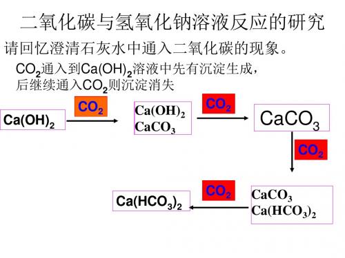 二氧化碳与氢氧化钠溶液反应的研究(2019年新版)