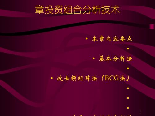 投资组合分析技术(ppt50张)