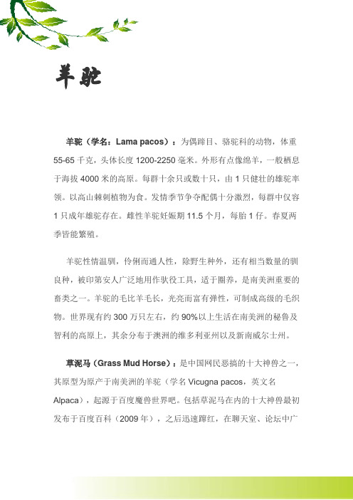 羊驼