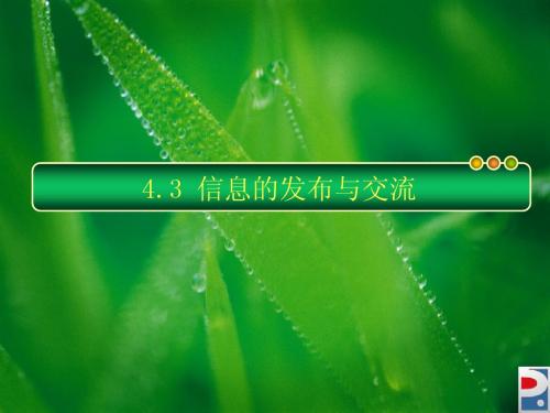 4.3信息的发布与交流和发布信息的道德规范