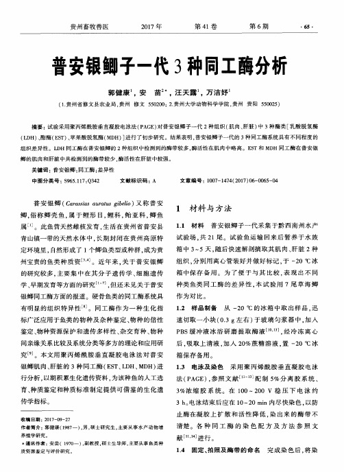 普安银鲫子一代3种同工酶分析