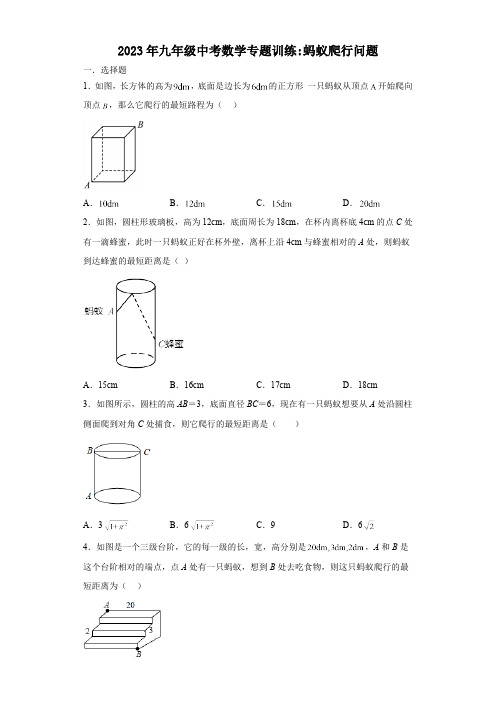 2023年中考数学二轮复习专题训练——蚂蚁爬行问题(含答案)