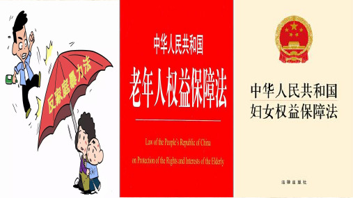 部编版初中道德与法治《法律为我们护航》ppt2