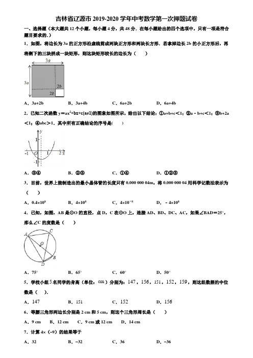 吉林省辽源市2019-2020学年中考数学第一次押题试卷含解析