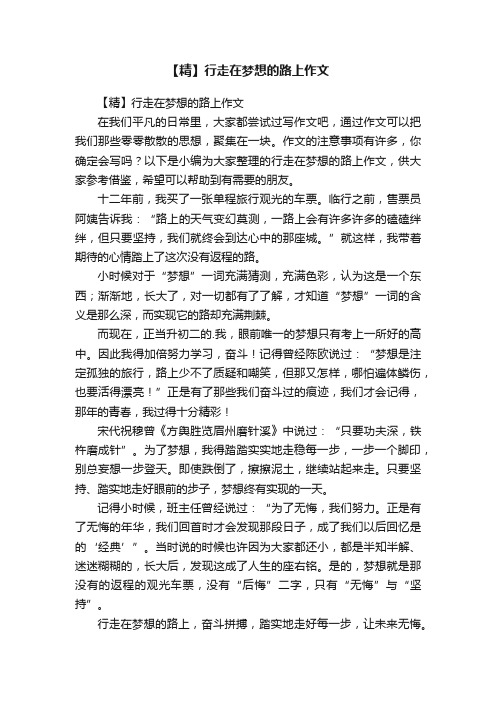 【精】行走在梦想的路上作文