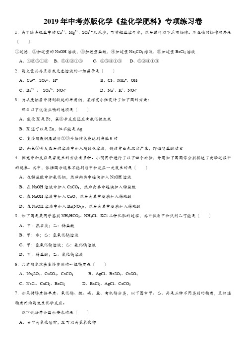 2019年中考苏版化学《盐化学肥料》专项练习卷