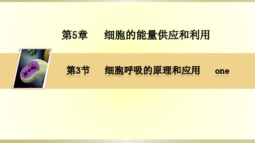 (新)人教版高中生物必修一 第五章第3节 探究酵母菌细胞呼吸的方式
