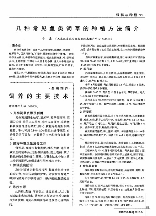 几种常见鱼类饲草的种植方法简介