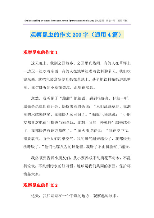 观察昆虫的作文300字(通用4篇)
