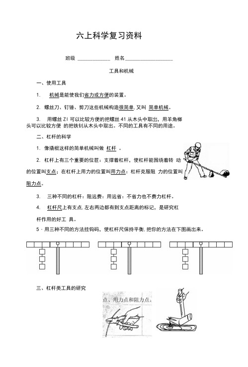 最新教科版六年级上册科学知识点总结