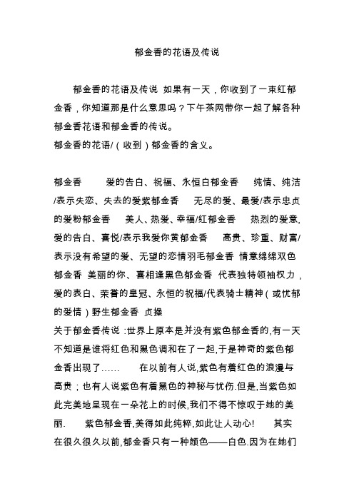 郁金香的花语及传说