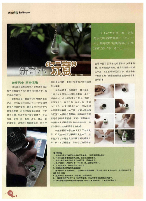 新奇小“玩意”