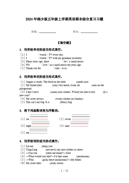 2024年湘少版五年级上学期英语期末综合复习习题