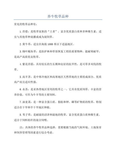养牛牧草品种