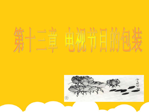【实用】第十三章电视节目的包装PPT文档