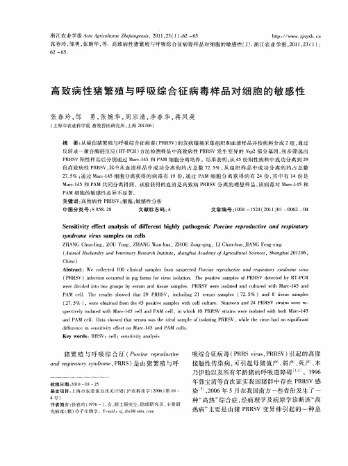 高致病性猪繁殖与呼吸综合征病毒样品对细胞的敏感性