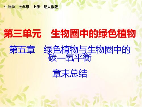 2017秋人教版七年级生物上册课件：第三单元 第五章  章末总结 (共17张PPT) (共17张PPT)