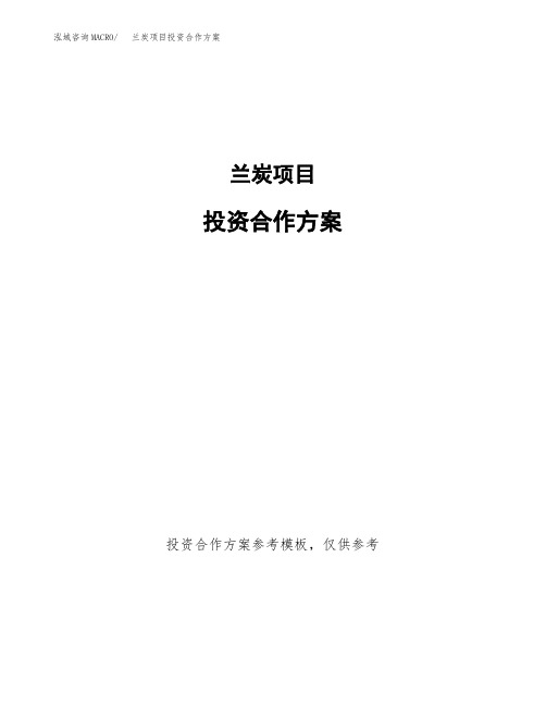 兰炭项目投资合作方案(模板及范文)
