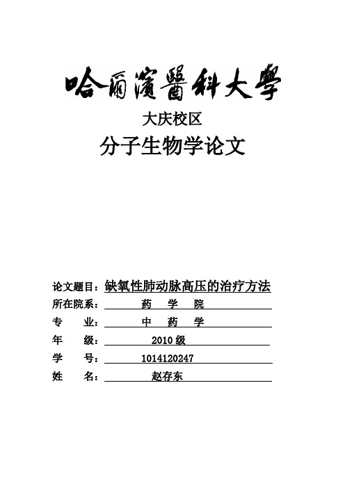缺氧性肺动脉高压治疗论文