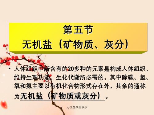 无机盐维生素水