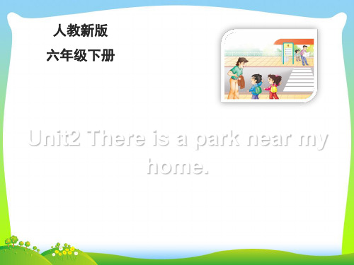 人教精通版六年级英语下册：Lesson11_教学课件