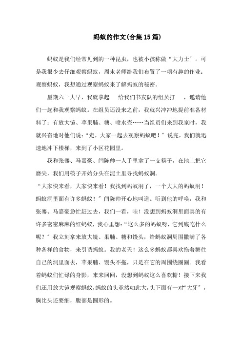 蚂蚁的作文(合集15篇)精选