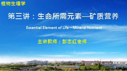 02-植物吸收矿质元素机理