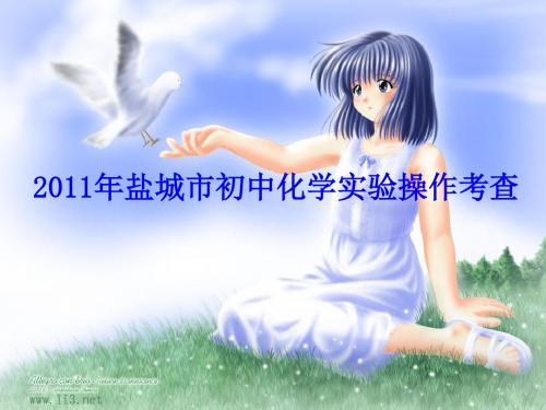 2011年盐城市初中化学实验考查解读