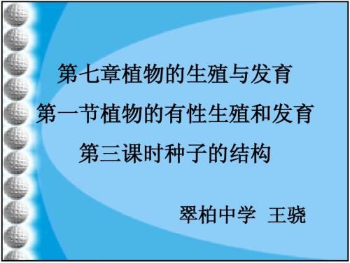 八年级科学下(华师大版)第七章第一节第三课时种子的结构