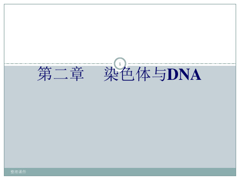 染色体与DNA分子生物学ppt课件