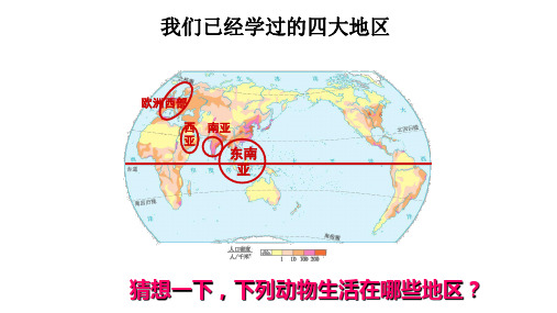 粤人地理七年级下册第11章 极地地区(共24张PPT)