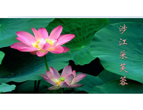 《诗三首》涉江采芙蓉 短歌行 归园田居课件
