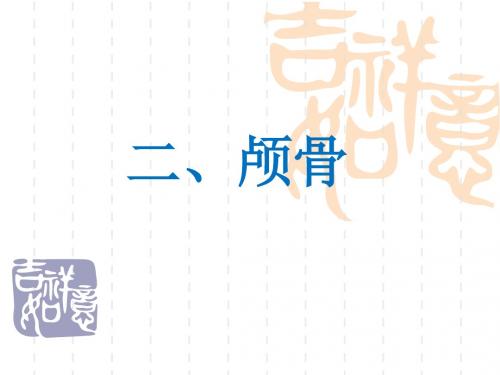 人体解剖生理学运动系统 第一节  骨颅骨
