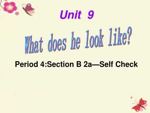 【四清导航】七年级英语下册 Unit 9 What does he look like Period 4课件 (新版)人教新目标版