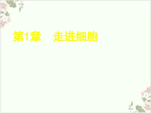 人教版高中生物必修一从生物圈到细胞20张