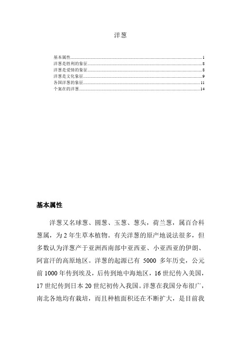 洋葱象征