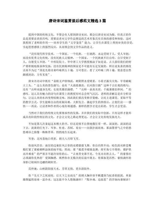 唐诗宋词鉴赏读后感范文精选3篇