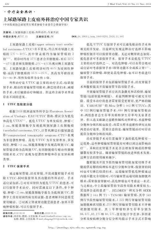 上尿路尿路上皮癌外科治疗中国专家共识