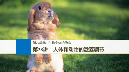 2019届高三一轮复习备考生物苏教专版一体资料课件：第八单元 生物个体的稳态 第28讲 