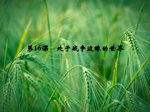 4.16 处于战争边缘的世界教学课件 岳麓版选修3课件