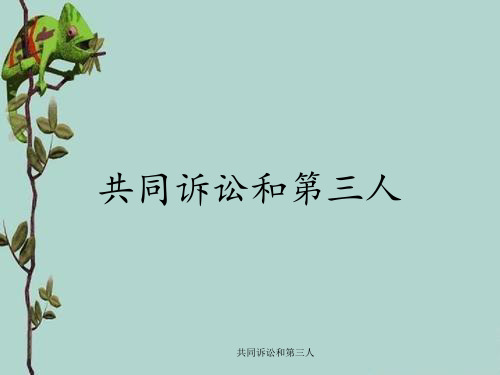 共同诉讼和第三人