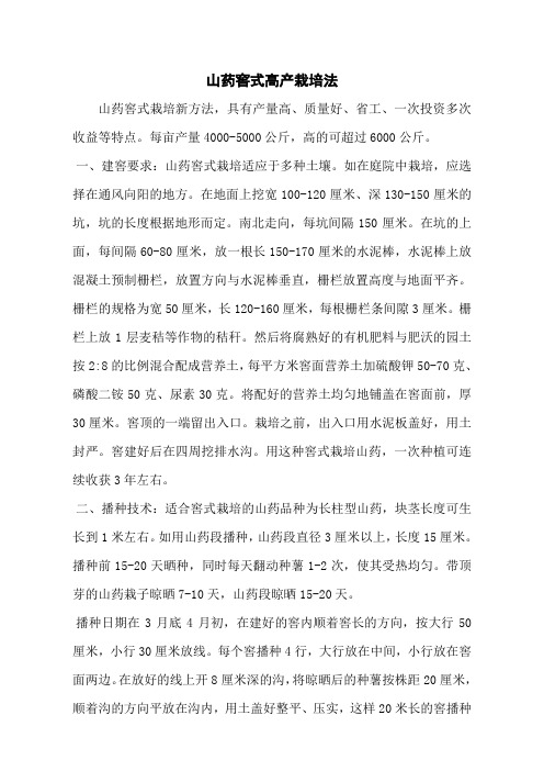 山药窖式高产栽培法