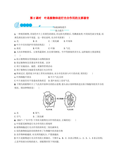 七年级生物上册光合作用(叶是植物体进行光合作用的主要器官)课后习题(新版)北师大版