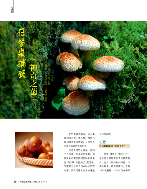 在餐桌捕获“神奇之菌”