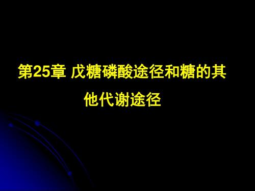 第七节生物化学 下册 25 戊糖磷酸与其他