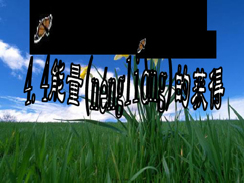 九年级科学上册4.4能量的获得课件浙教版
